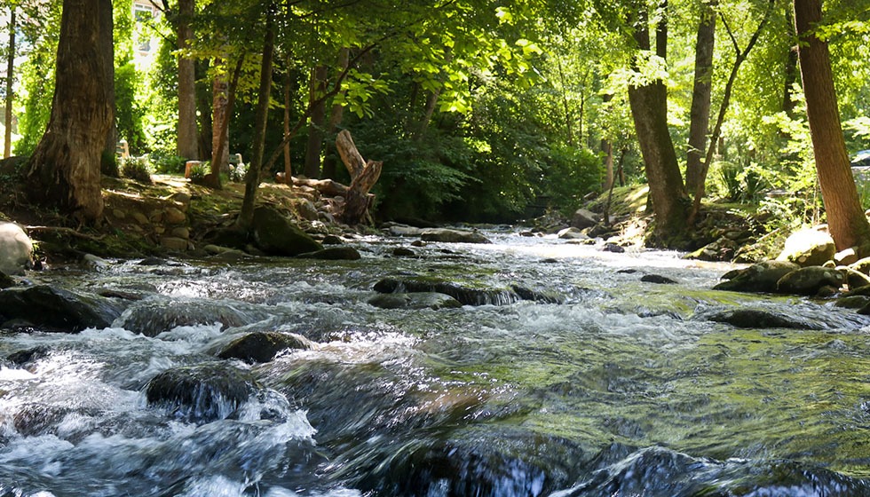 Featured image for “Trinkwasser sparen”