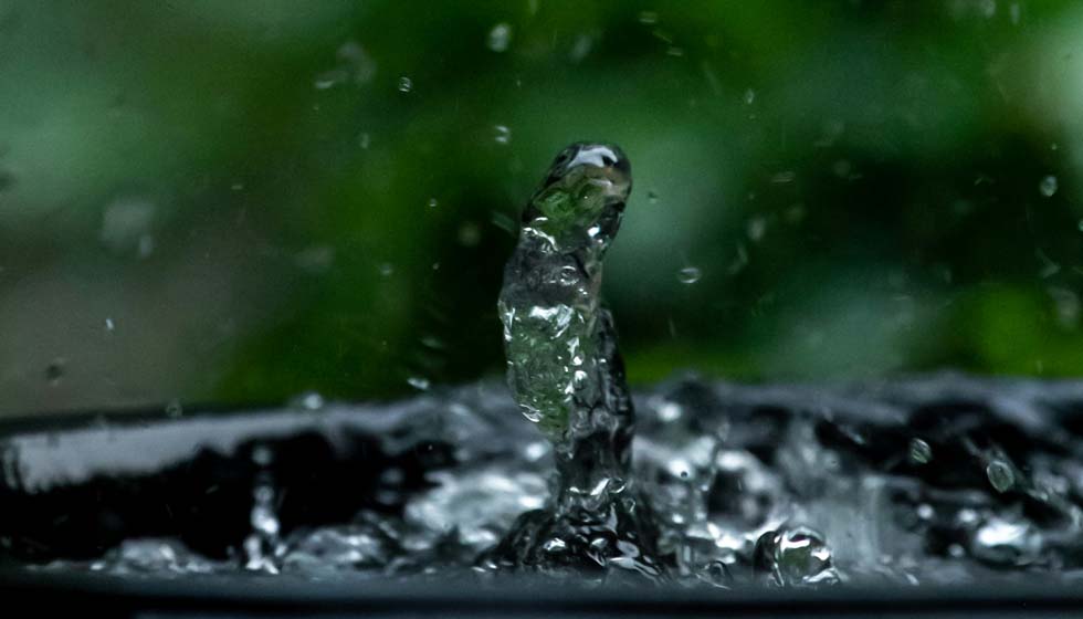 Featured image for “Brauchwassernutzung”